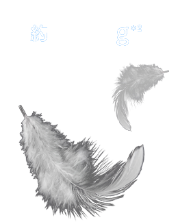 約937g