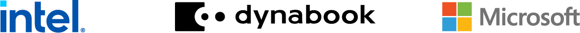 Windows 11