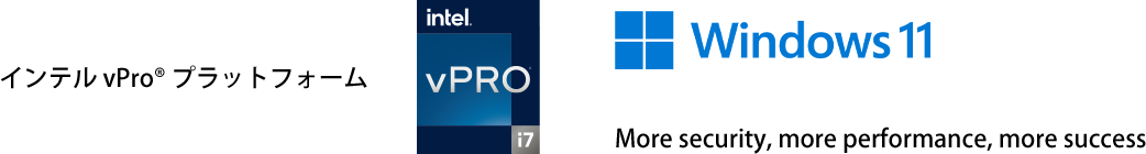 Windows 11