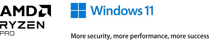 Windows 11