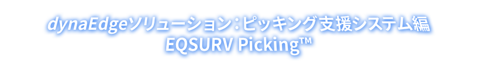 dynaEdgeソリューション：ピッキング支援システム編　EQSURV Picking™