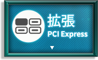拡張 PCI Express