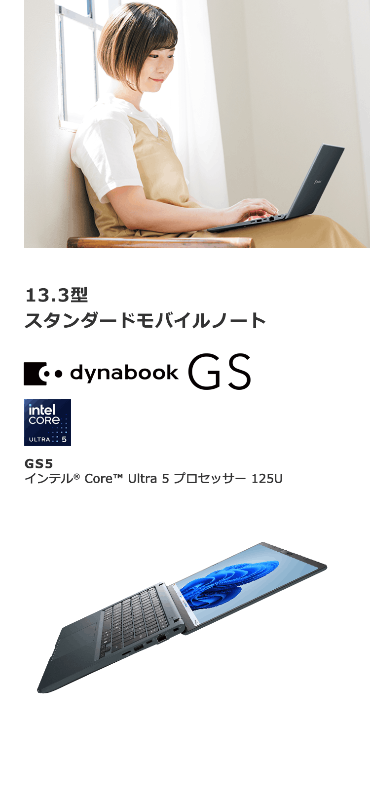13.3型 スタンダードモバイルノート