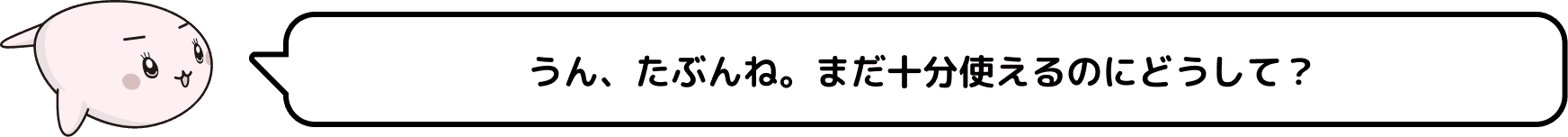 うん、たぶんね。まだ十分使えるのにどうして？