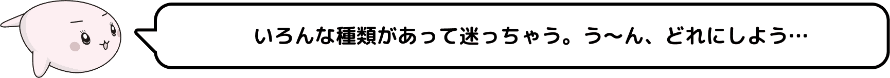 いろんな種類があって迷っちゃう。う～ん、どれにしよう…