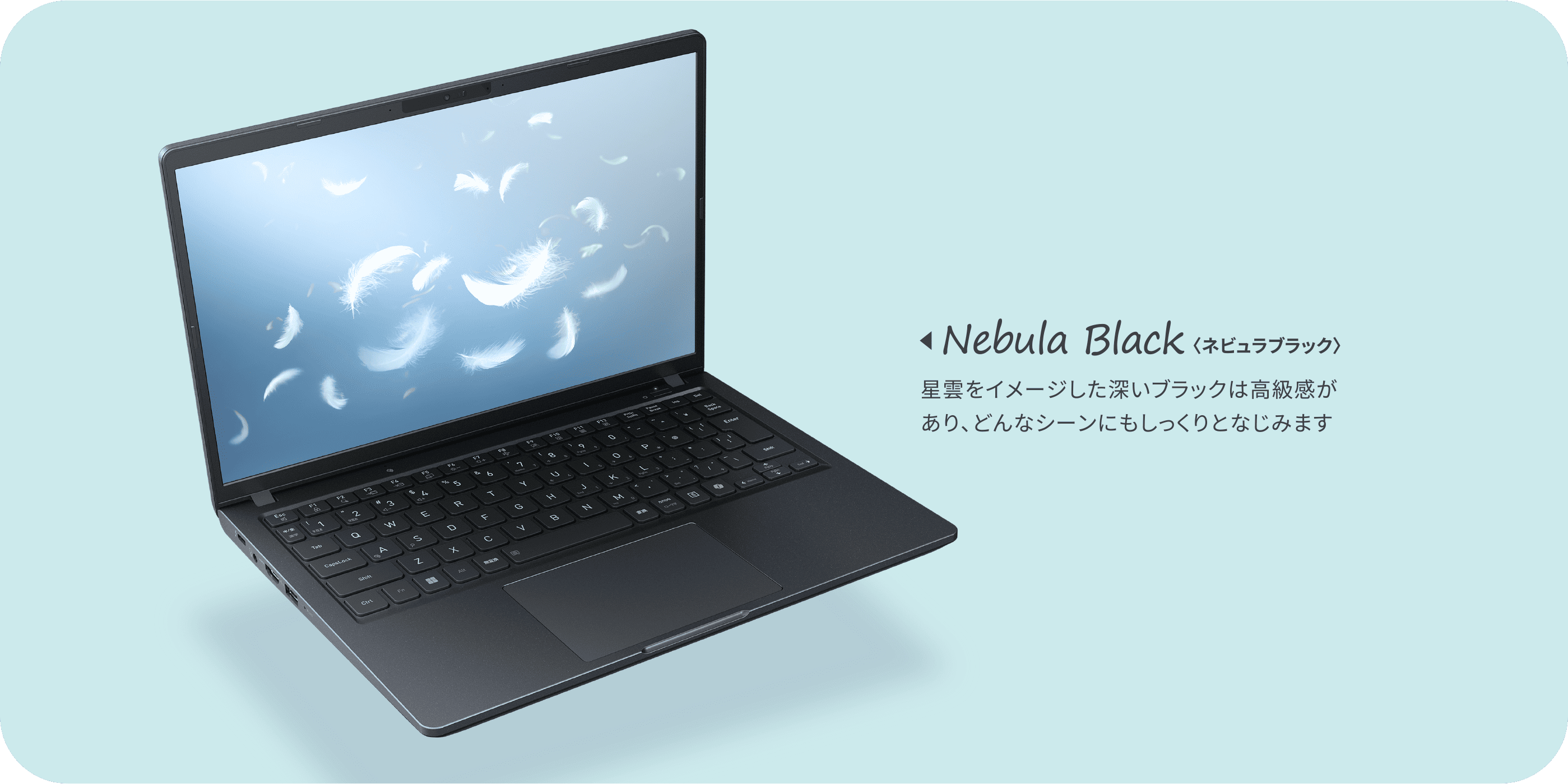 Nebula Black〈ネビュラブラック〉星雲をイメージした深いブラックは高級感があり、どんなシーンにもしっくりとなじみます