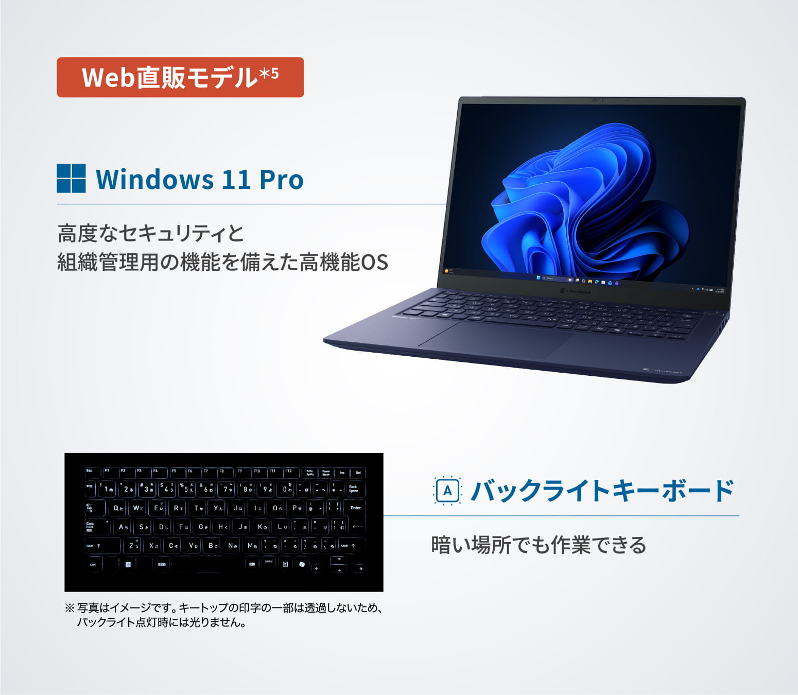 製品紹介イメージ