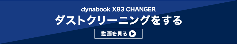 ダストクリーニングをする