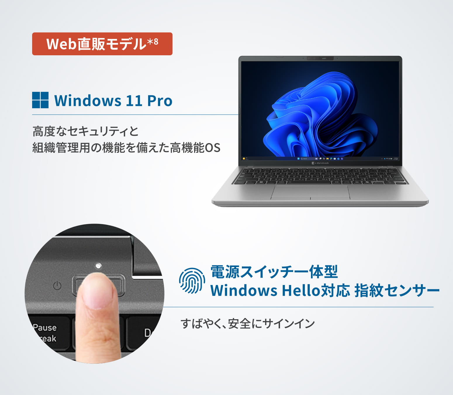 製品紹介イメージ