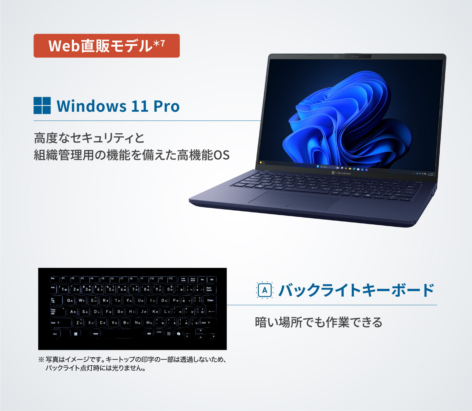 製品紹介イメージ