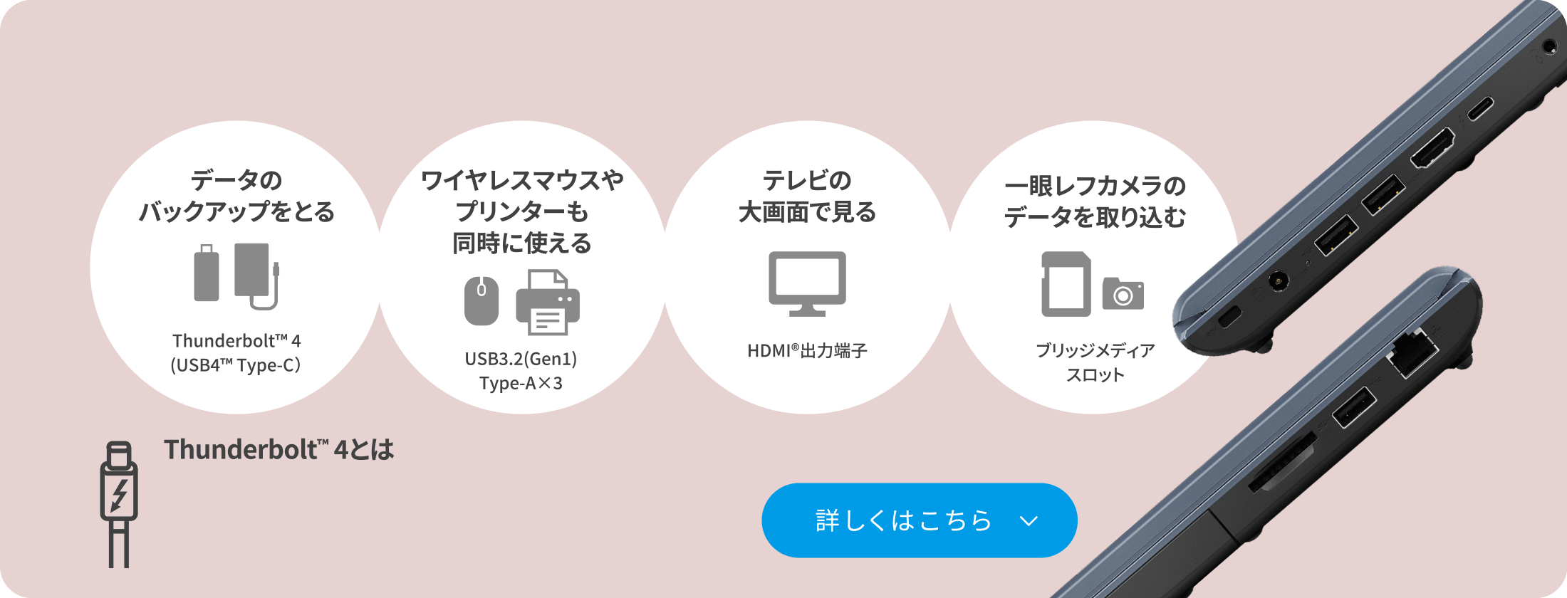 データのバックアップをとる　ワイヤレスマウスやプリンターも同時に使える　テレビの大画面で見る　一眼レフカメラのデータを取り込む